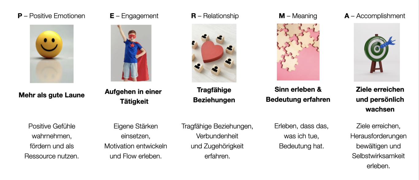 Darstellung der einzelnen PERMA Elemente Darstellung des PERMA Modells